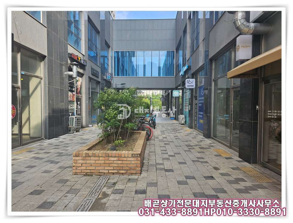 경기 시흥시 배곧동 배곧 상가전문 대지부동산, 안정적인 수익을 안겨줄 수익형 상가매매 매물 소개! 매매 매물번호 10063 사진 6