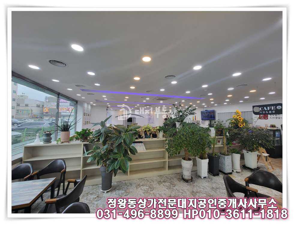 경기 시흥시 정왕동 정왕동 대로변인근 1층 대형 음식점 임대 매물 월세 매물번호 10343 사진 19