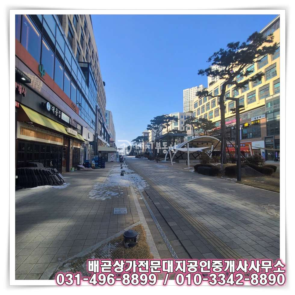 경기 시흥시 배곧동 시흥배곧아브뉴프랑센트럴블루동 【배곧 중심상가】1층 판매시설 상가 임대 월세 매물번호 10719 사진 9