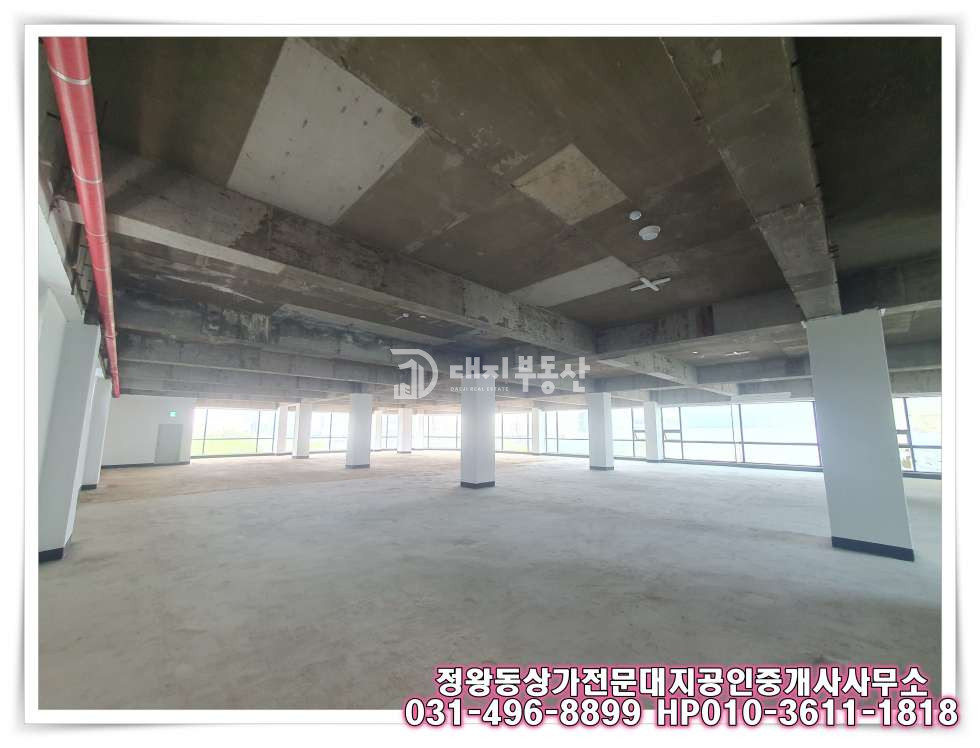 경기 시흥시 정왕동 정왕동 대로변 5층 대형평수 공실상가 임대 매물 월세 매물번호 10425 사진 2