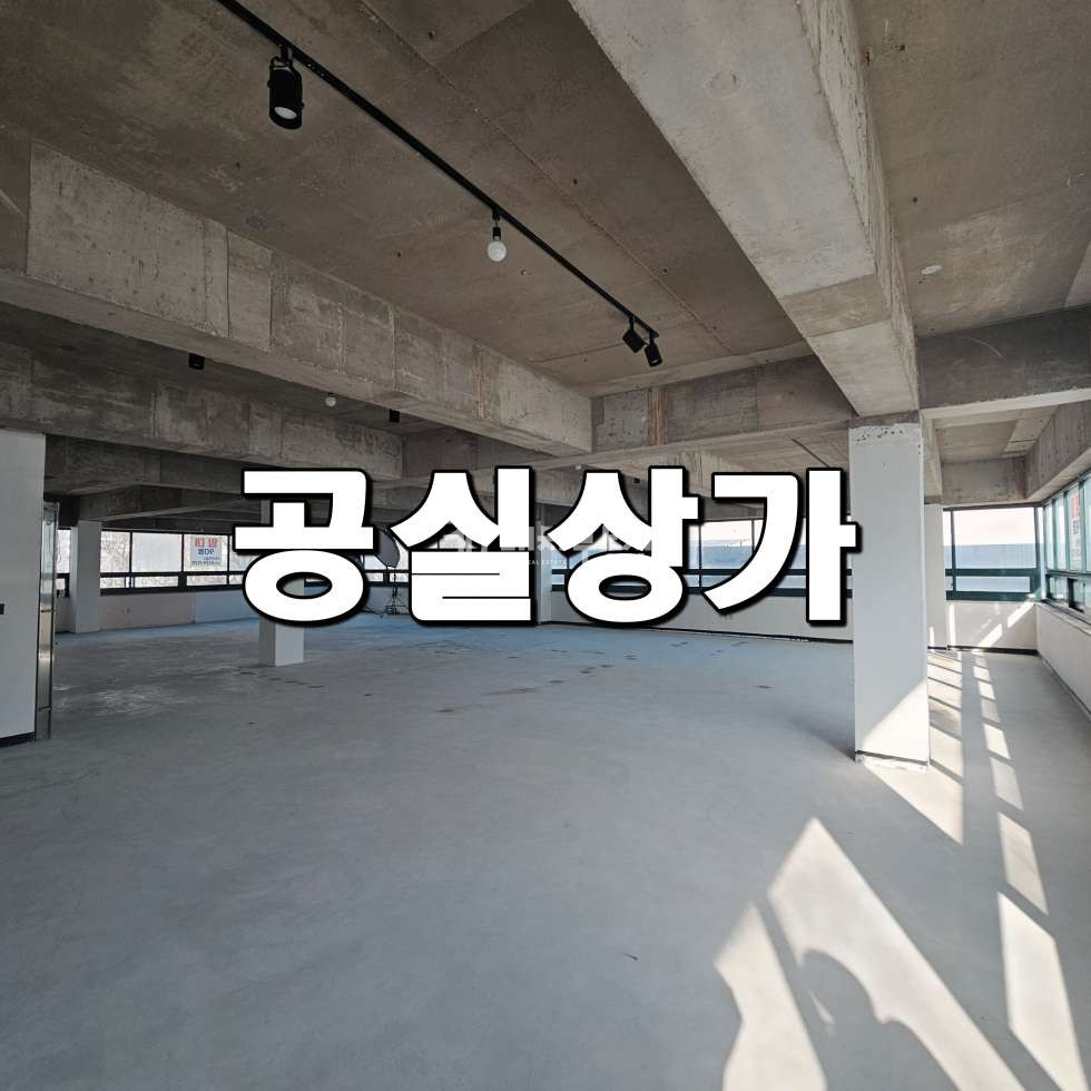 경기 시흥시 정왕동 주건축물제1동 정왕동 중심상업지 오로변 공실상가 임대매물 월세 매물번호 10238 사진 1